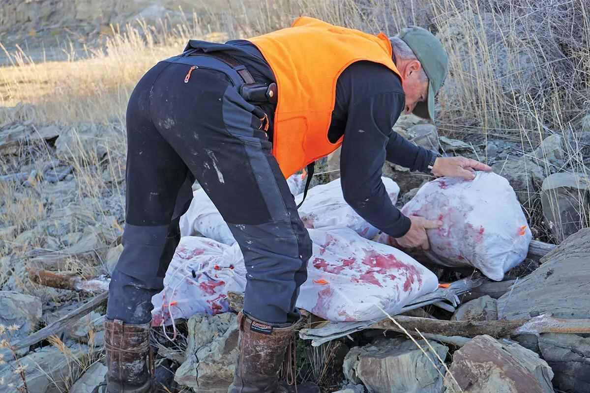 stashing meat
