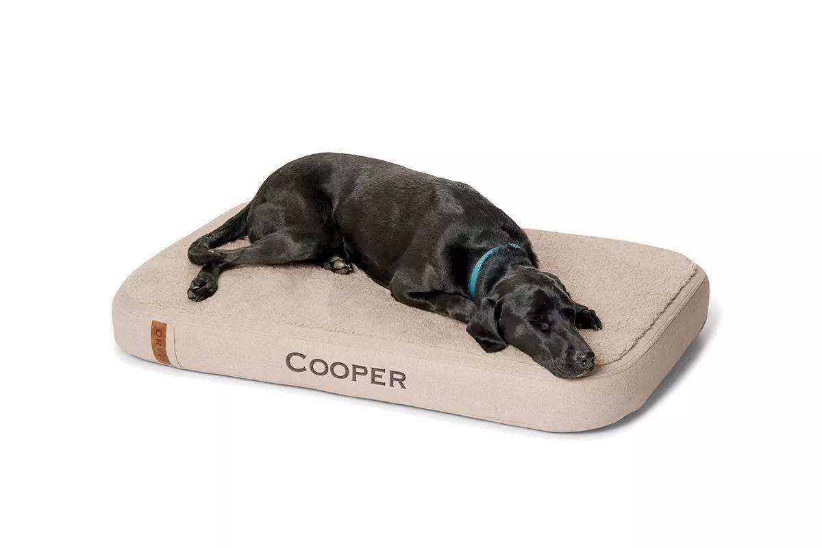 Orvis RecoveryZone Dog Bed Review - Gun Dog