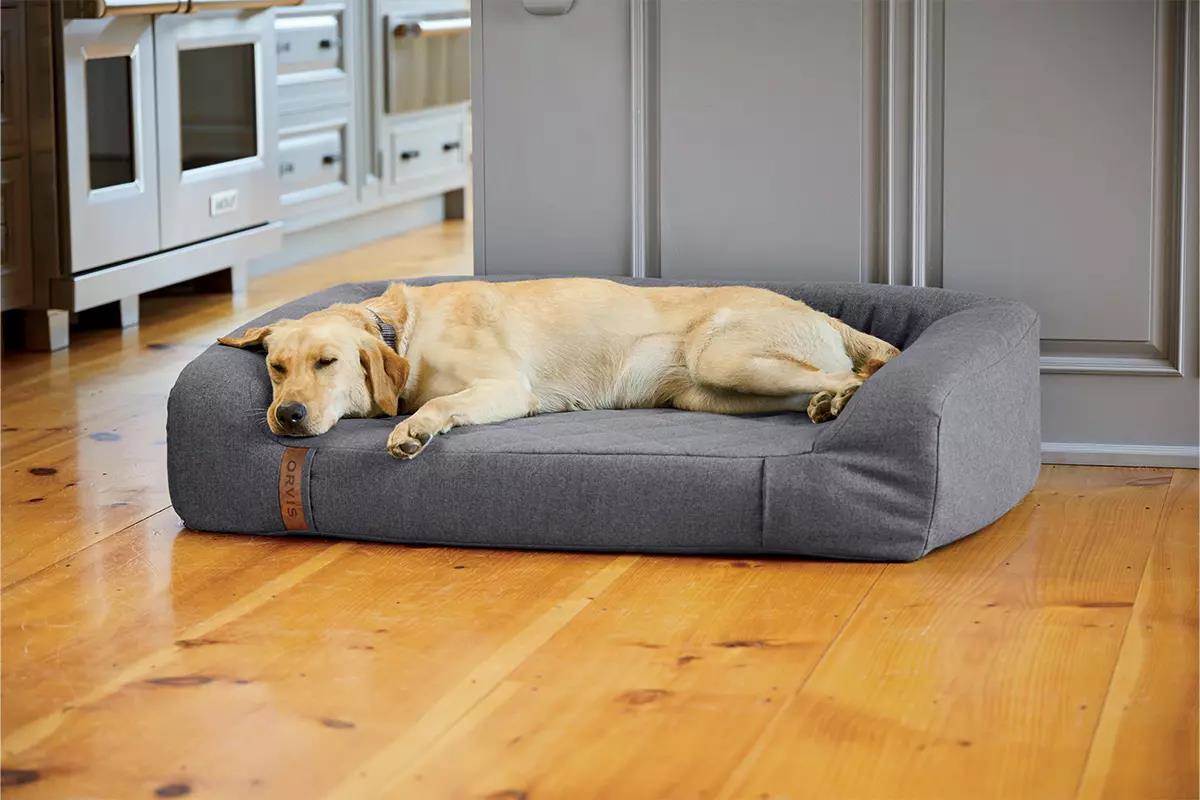 Gear Review: Orvis RecoveryZone Dog Bed