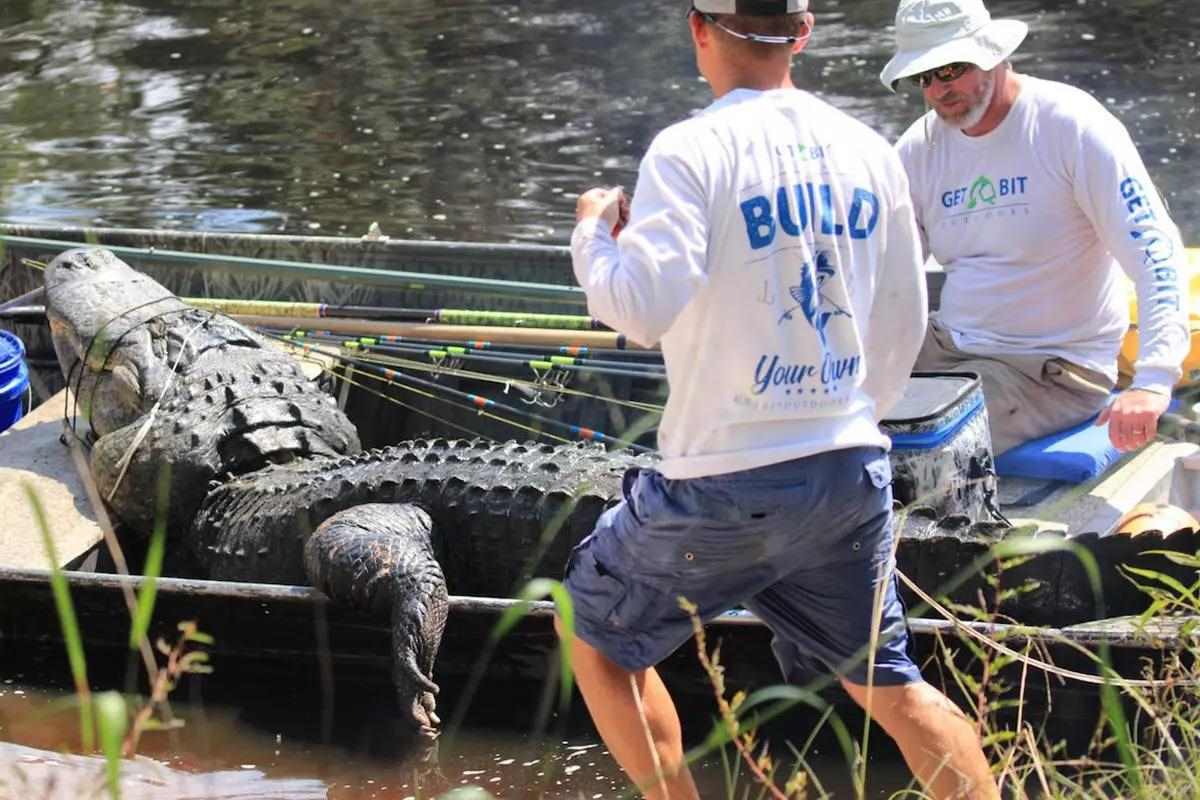 Tagged Florida Gator is One of Largest in State History