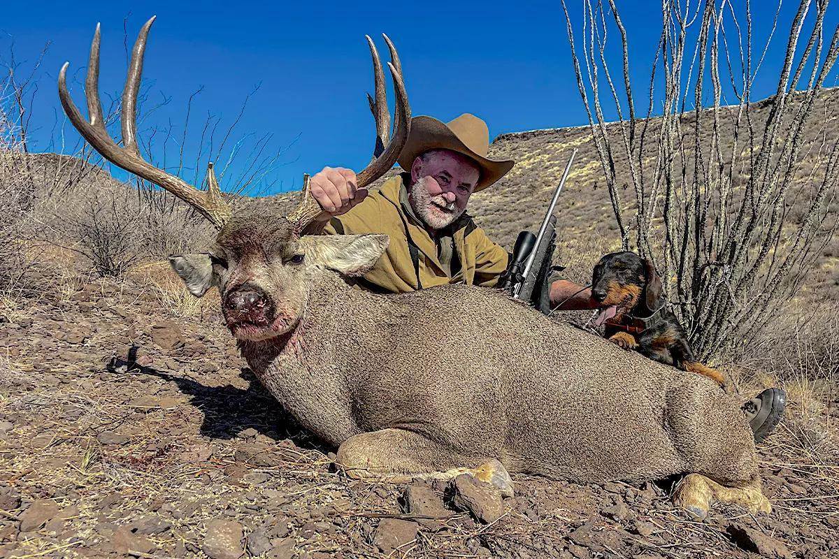Gilbert's Buck: When a Wire-Haired Dachshund Saved Mule Deer Hunt