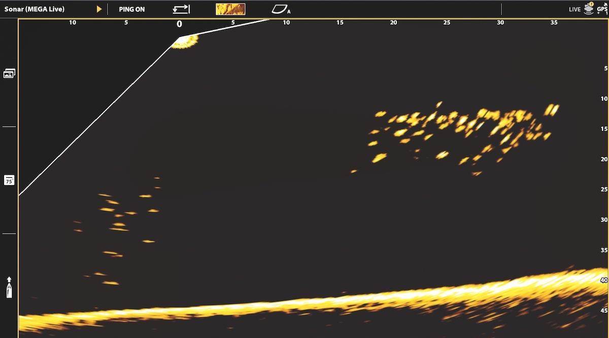 Live Sonar Has Changed How We Fish, But Is It Too Helpful? - Game & Fish