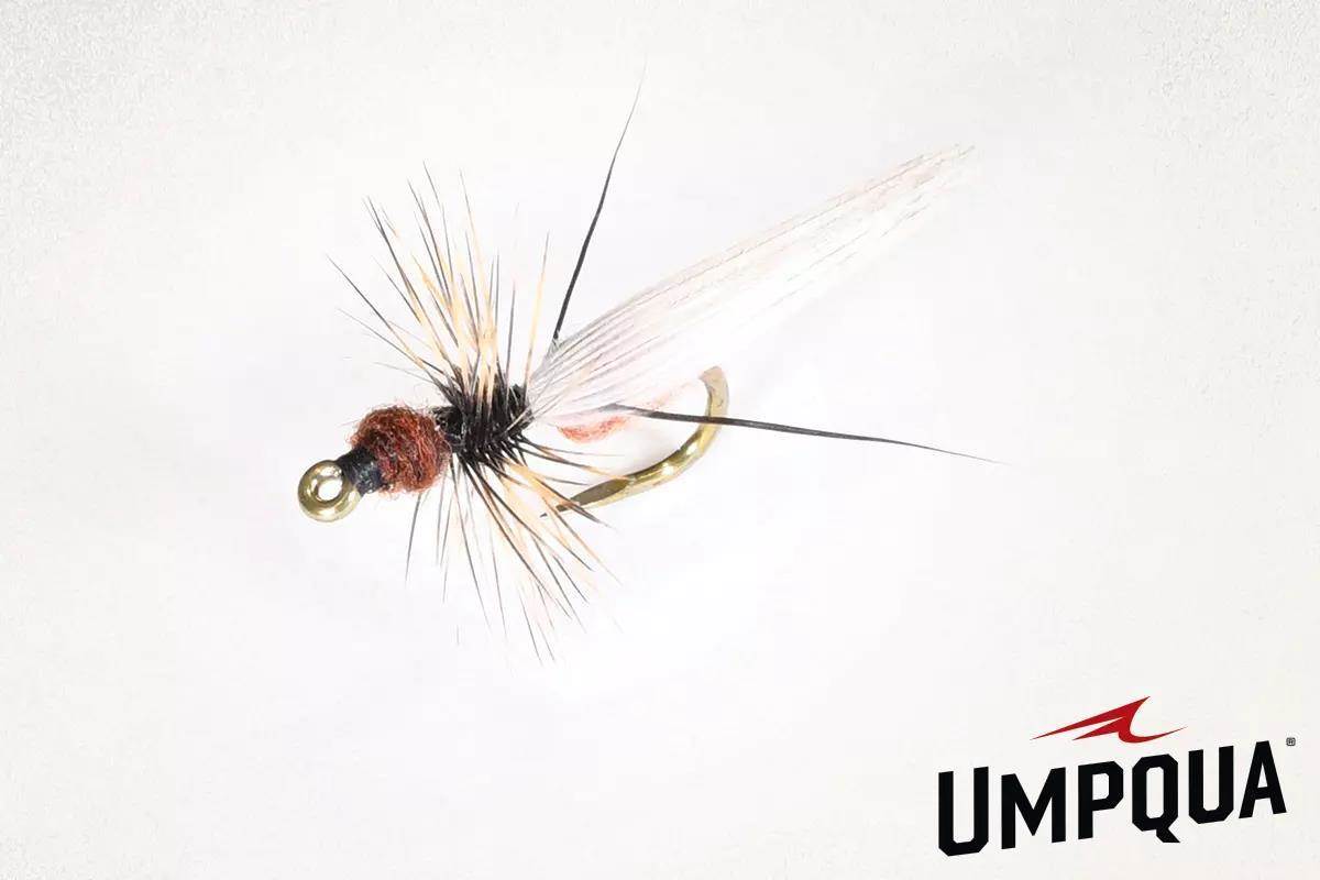 Fly Tier's Bench: How to Tie Harrop's Flying Ant - Fly Fisherman