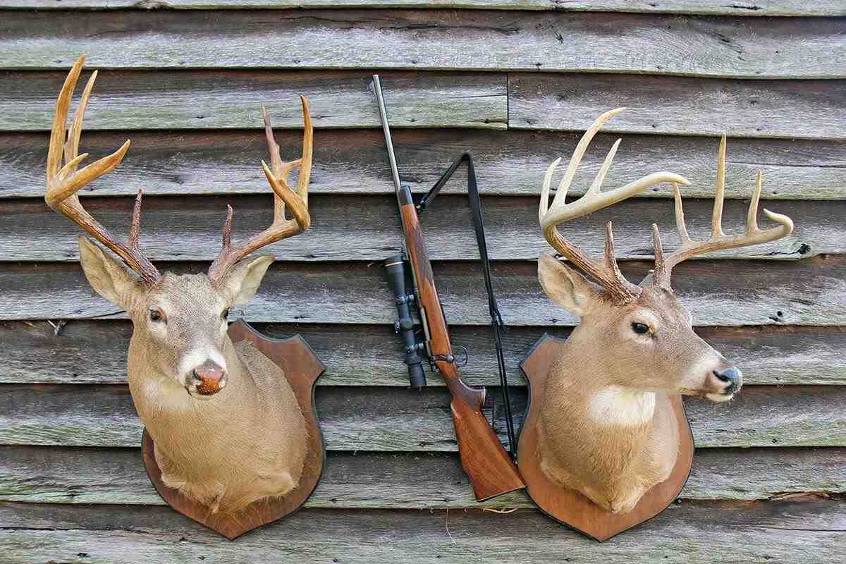 Heirloom Deer Rifle: Continued Memories and Hunts - Petersen's Hunting