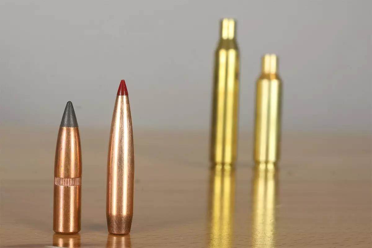 two bullets side by side