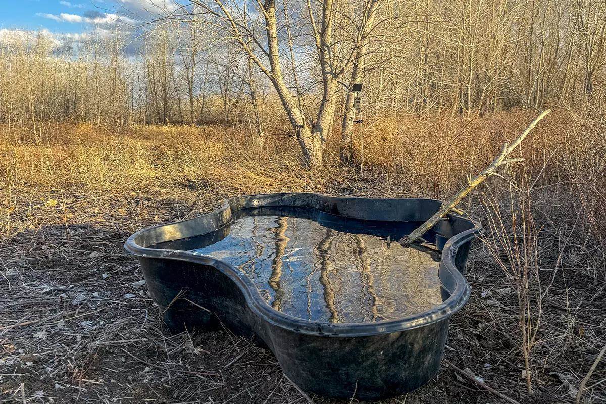 New pond on wood line