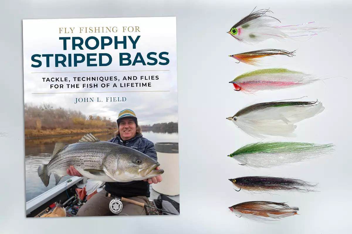 shimano backbone elite fully rollered rod 24kg Shimano Rods Shimano Backbone Elite 24kg Fully Rollered Spinning Rod  Shimano Backbone Elite Shimano Backbone Elite