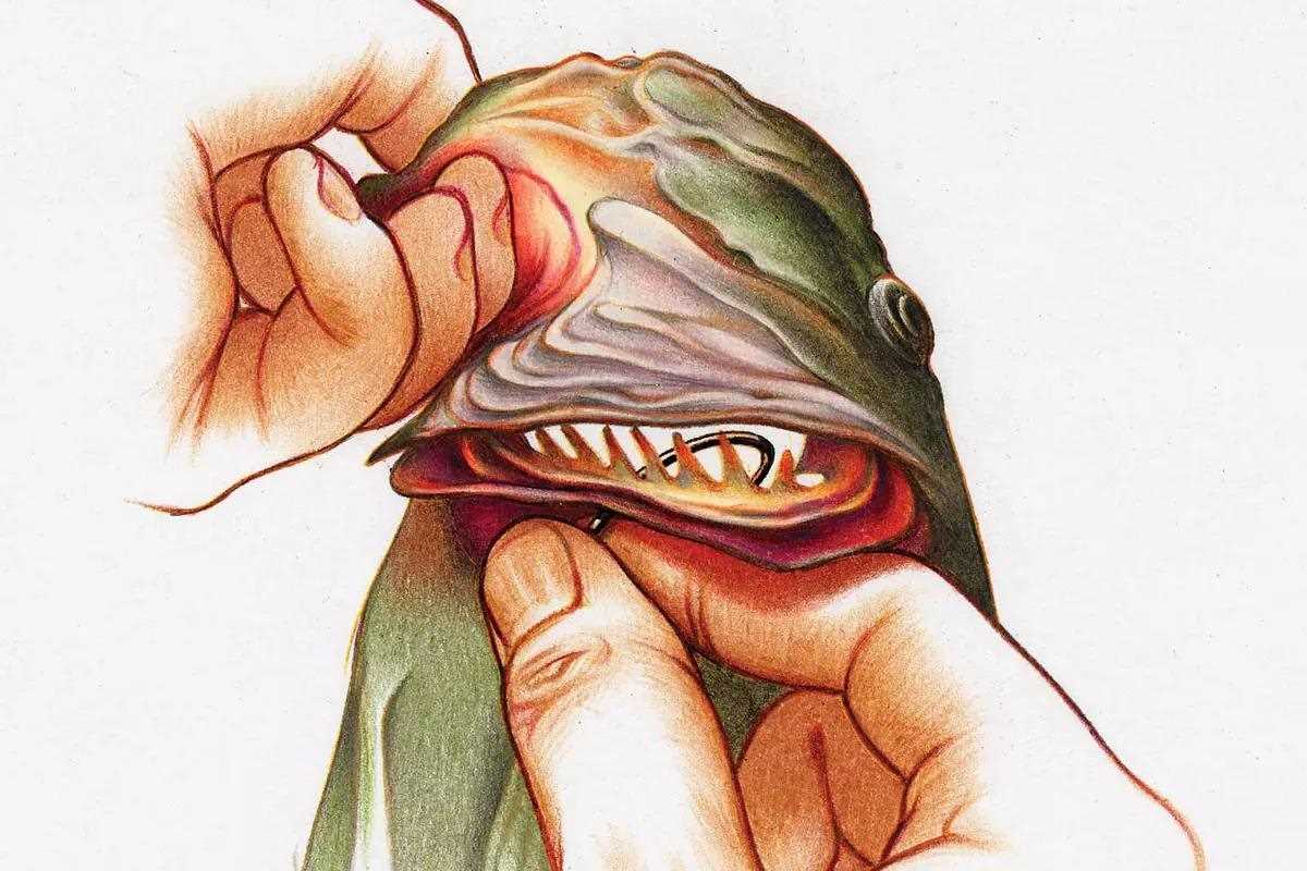 Easy, Effective Method for Removing a Swallowed Hook - In-Fisherman Easy, Effective Method for Removing a Swallowed Hook - In-Fisherman