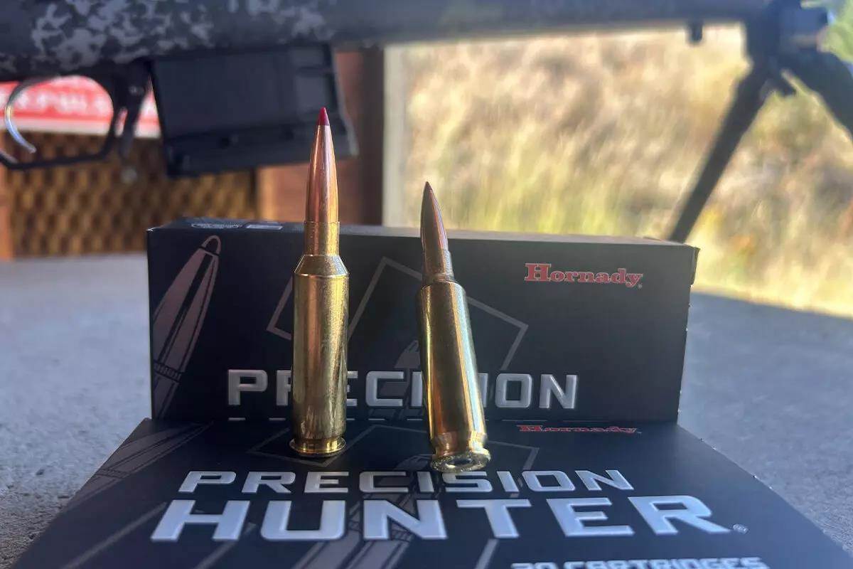 cartridges with rifle