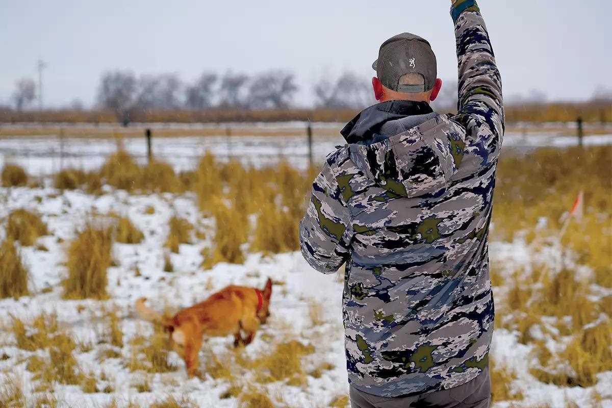 A lab takes a back cast from a handler wearing a camo coat.