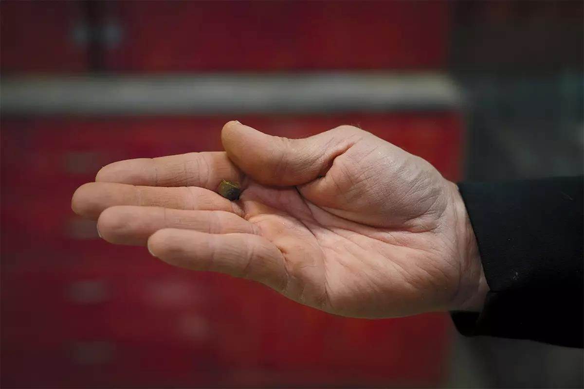 A hand holds a piece of kibble between the first two fingers with the thumb above it.
