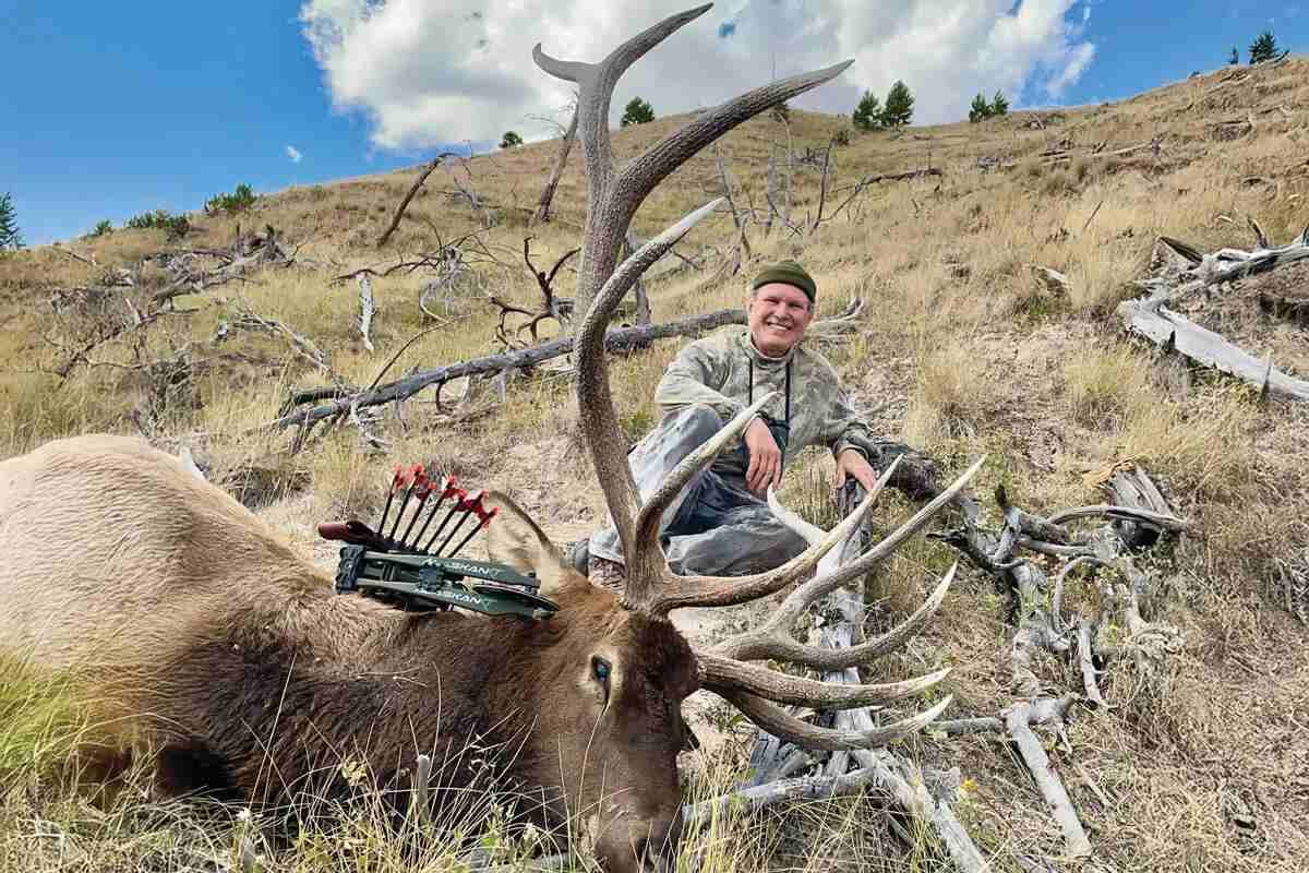 How to Close the Distance on Elk With Aggressive Stalking - Bowhunter