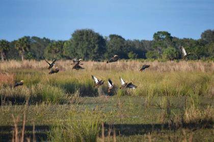 West Central Fishing Forecast - Aripeka, Tampa, & More - Florida Sportsman