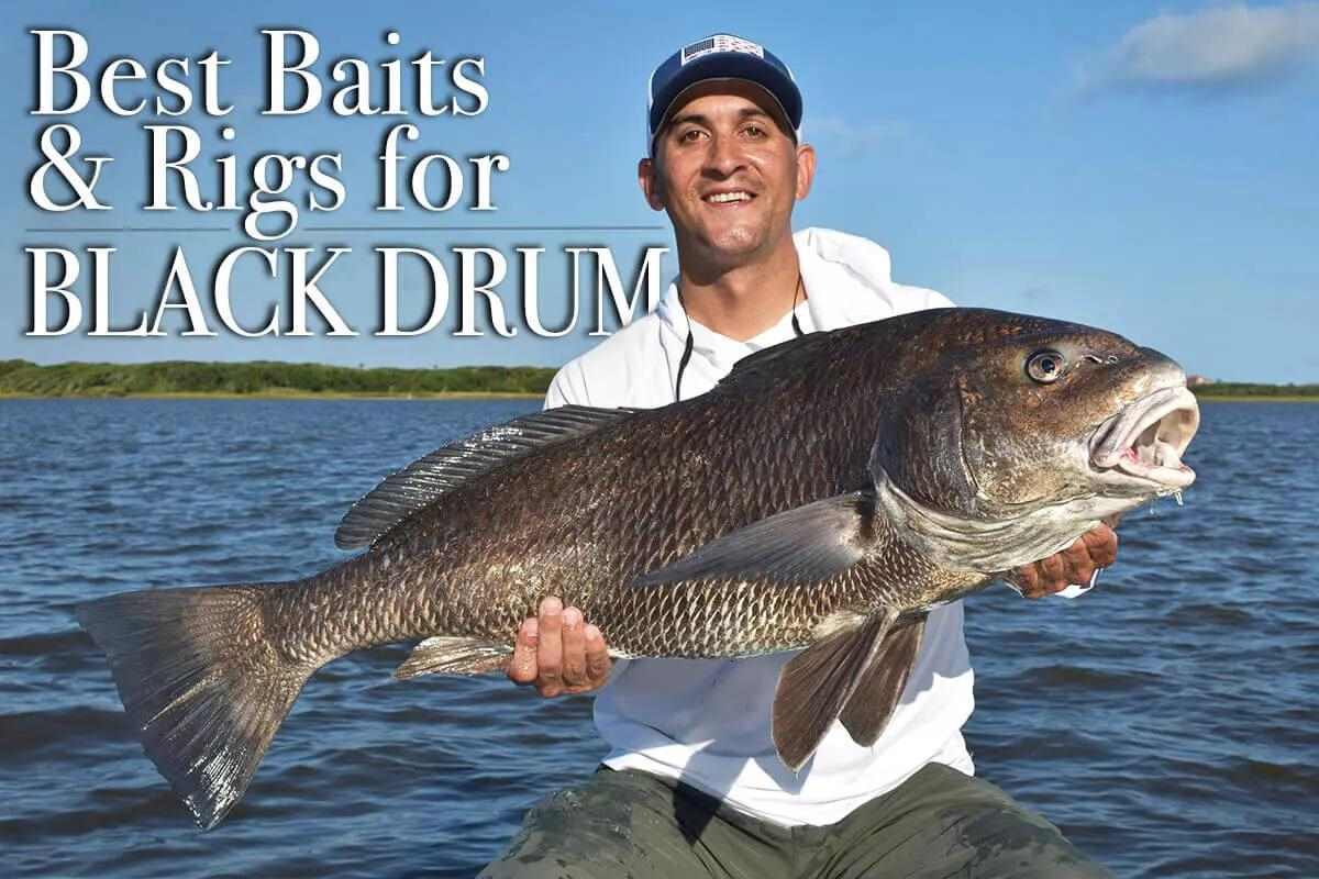 How to Fish for Black Drum: Best Bait, Rigs & Lures