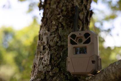 Moultrie Mobile EDGE 2 PRO Cellular Trail Camera in tree