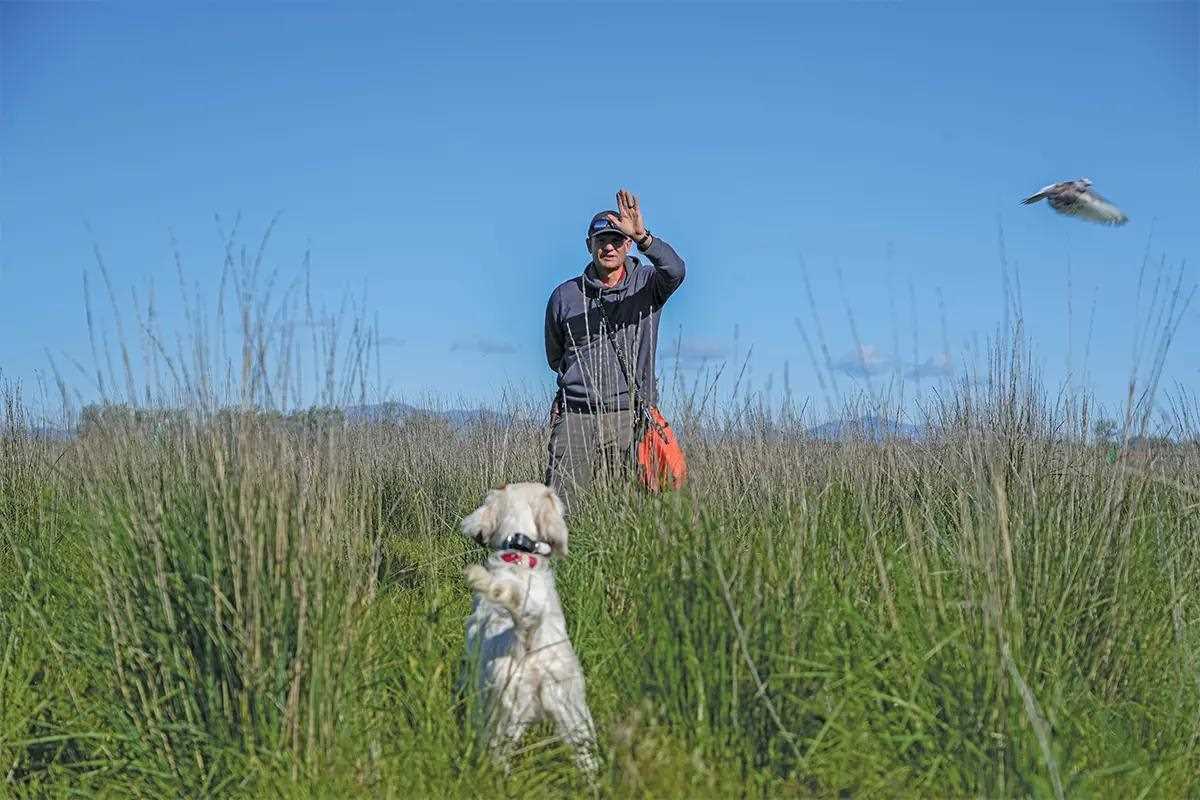 A man holds his hand up to a dog while a bird flies out of frame.