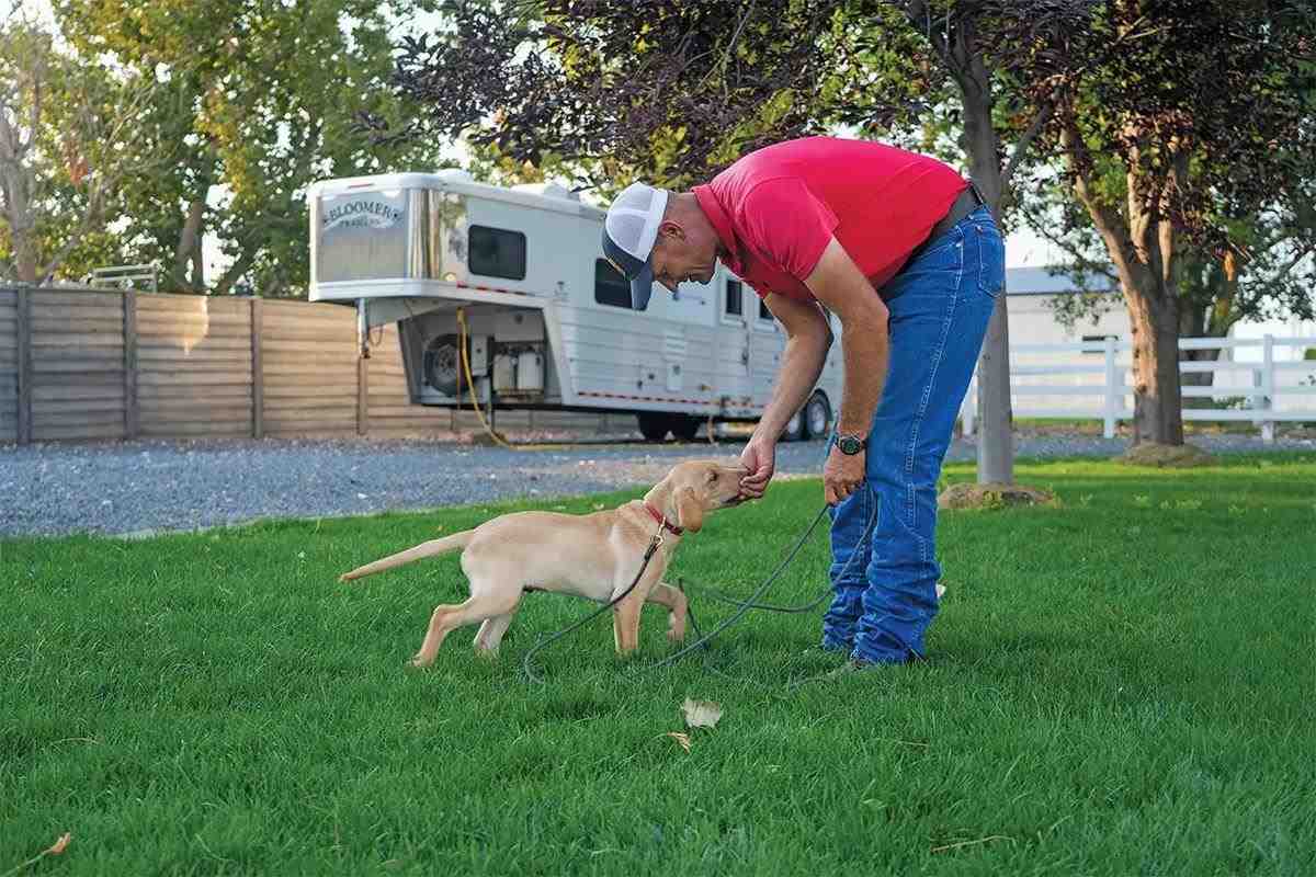 A dog trainer in a red shirt leans down to feed a treat to a puppy.