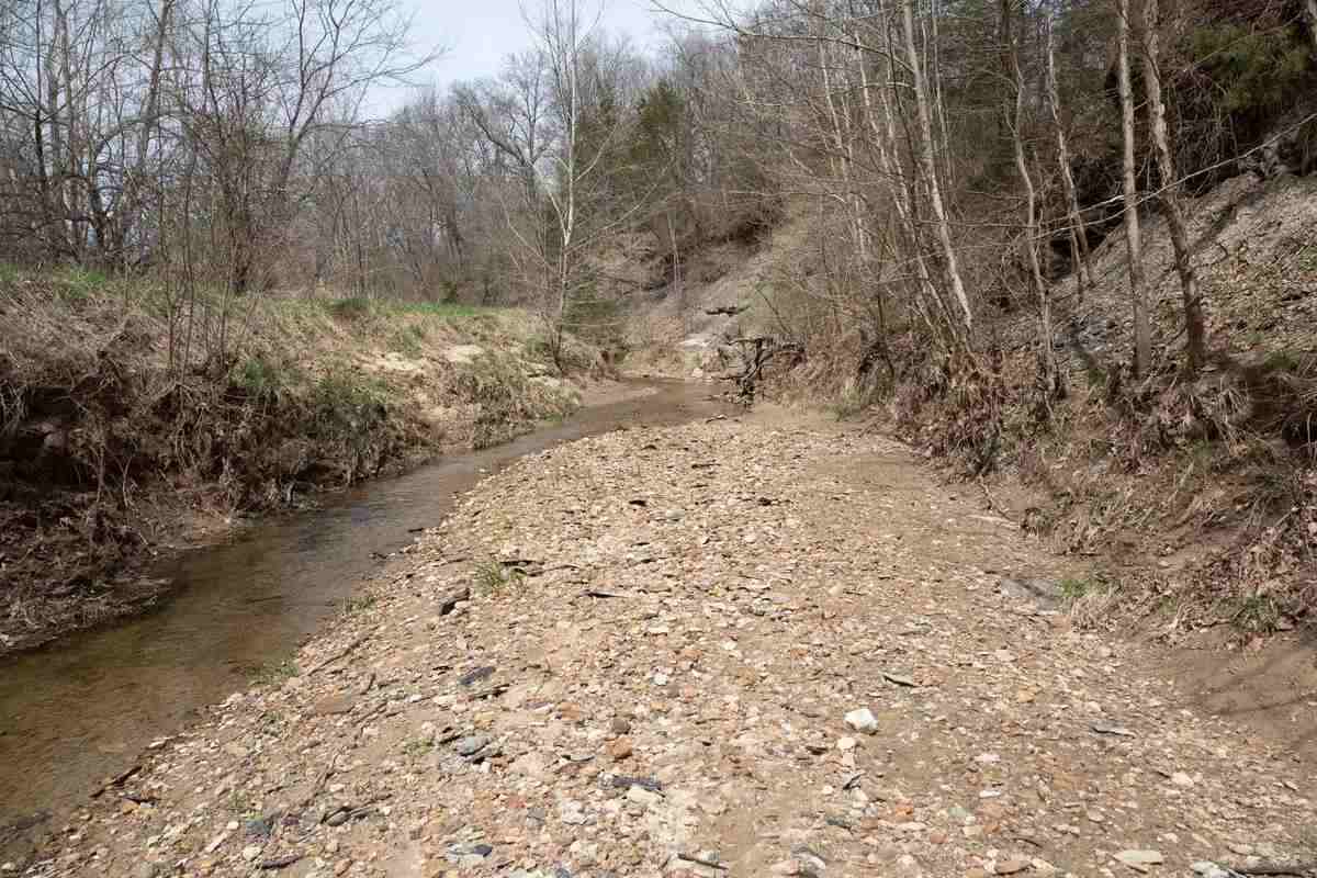 creek below sight line