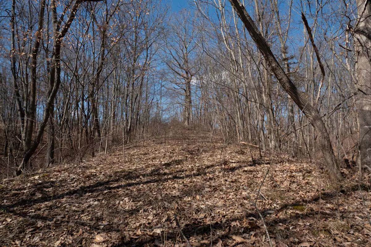 access trail through the woods