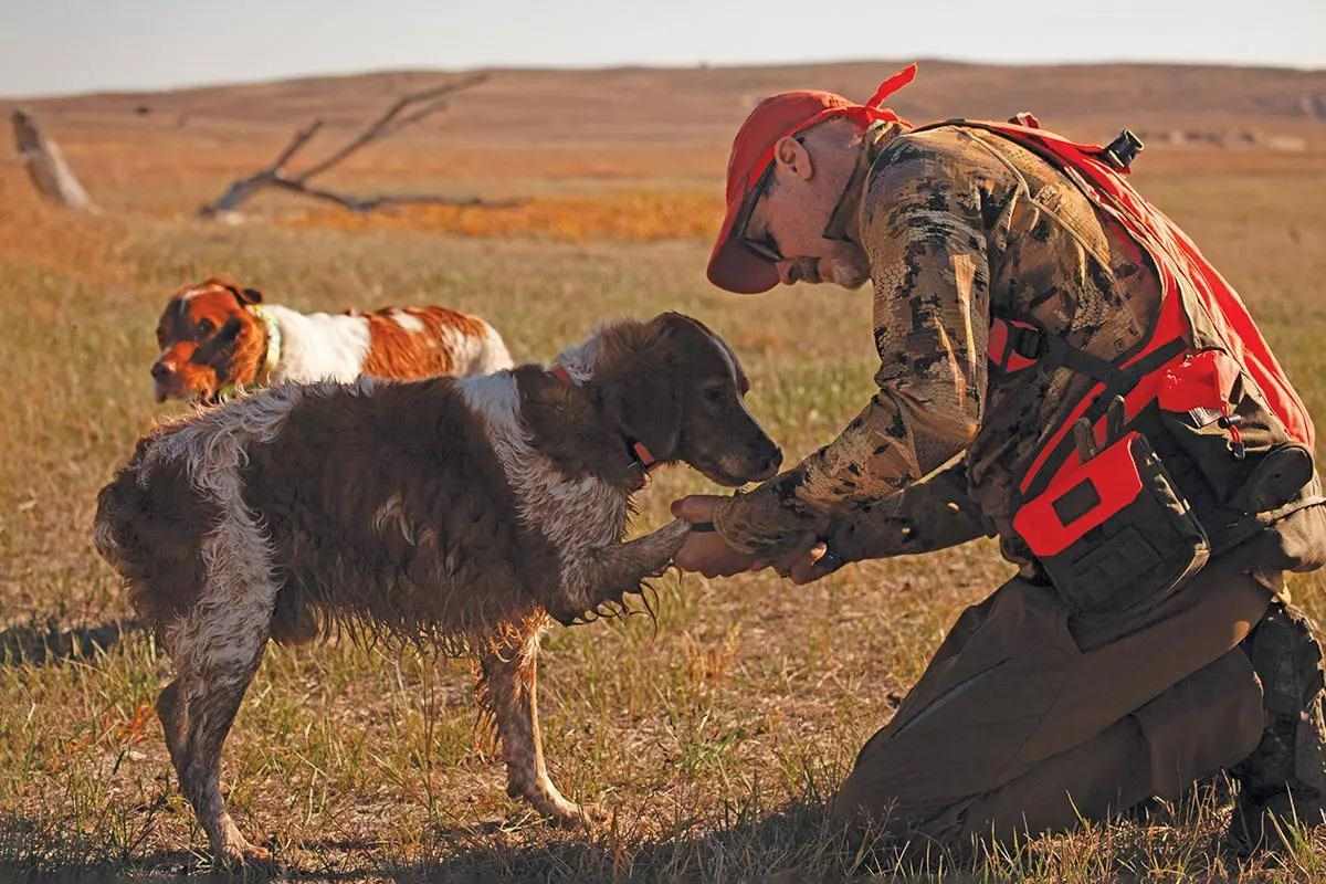 A hunter wearing an orange vest crouches with a dog to check its paw.