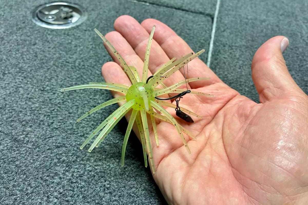 How to Rig and Fish Coike Baits for Bass Success - Game & Fish