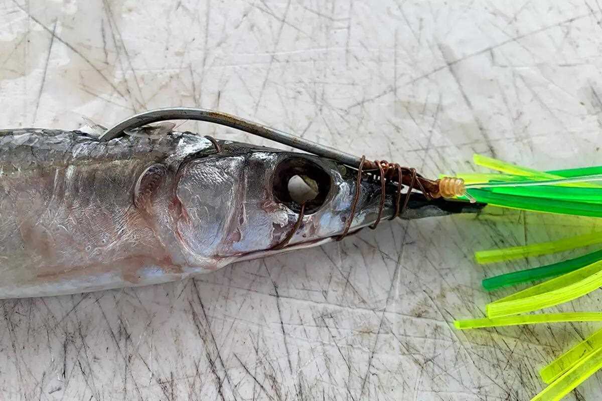 Top 5 Best Weedless Bass Lures Review in 2024 