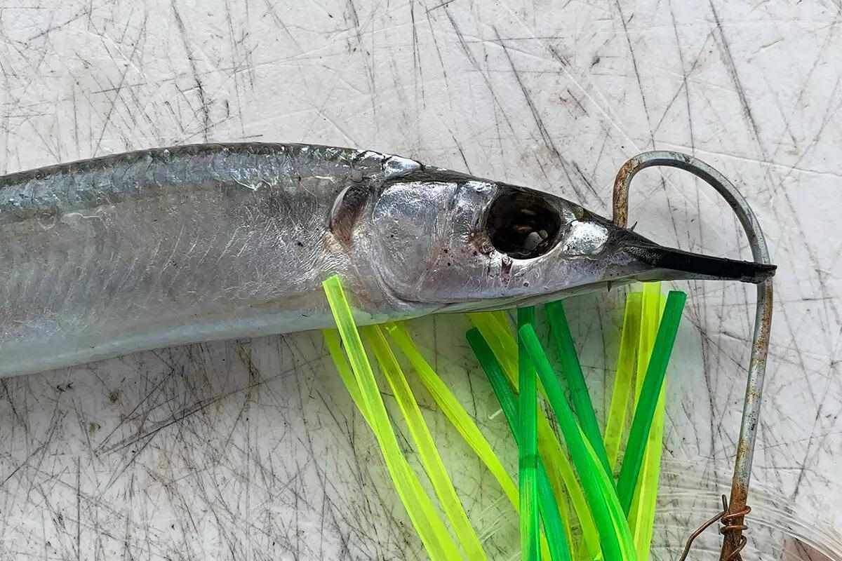 Saltwater Lure Shark Fishing Baits, Lures for sale