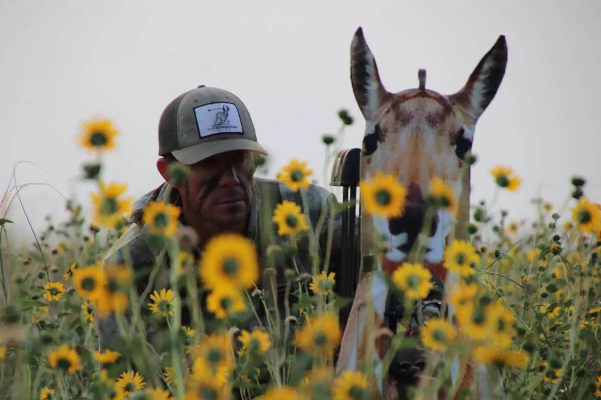How to Successfully Hunt Pronghorn Antelope in August - Petersen's Hunting