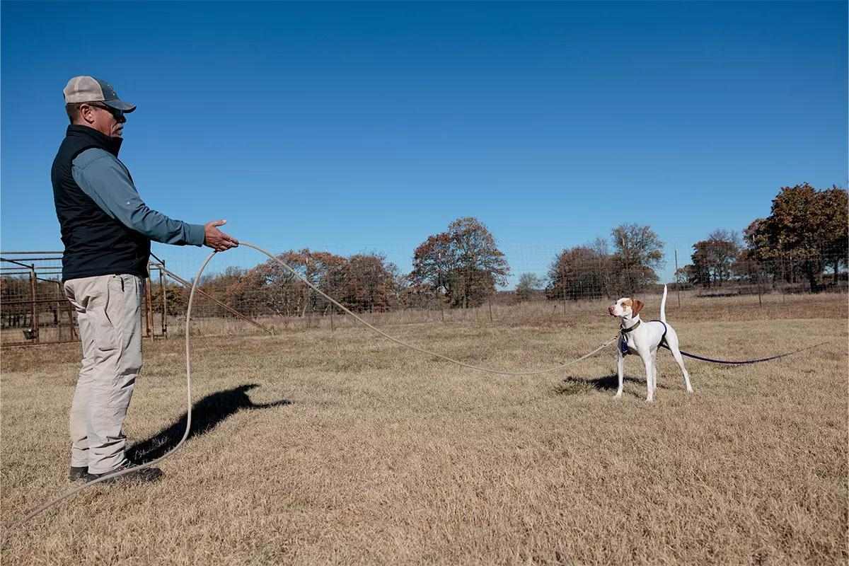 A trainer stands in front of a dog with a rope on its belly and neck.