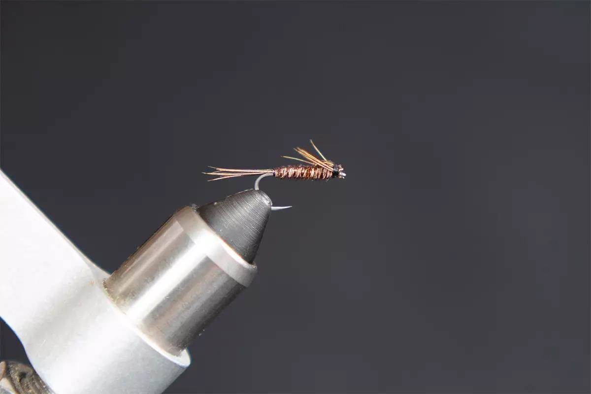 How to Tie a Pheasant Tail Nymph Using Your Old Rooster Tail - Gun Dog