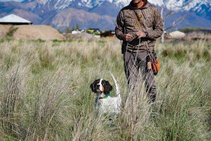 A dog trainer wearing camo check cords a pointing dog in a grassy field.