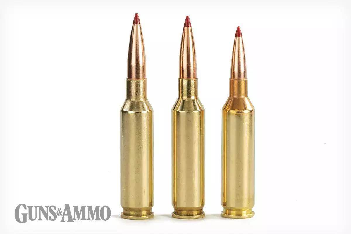 gaad-22-gator-hunt-05