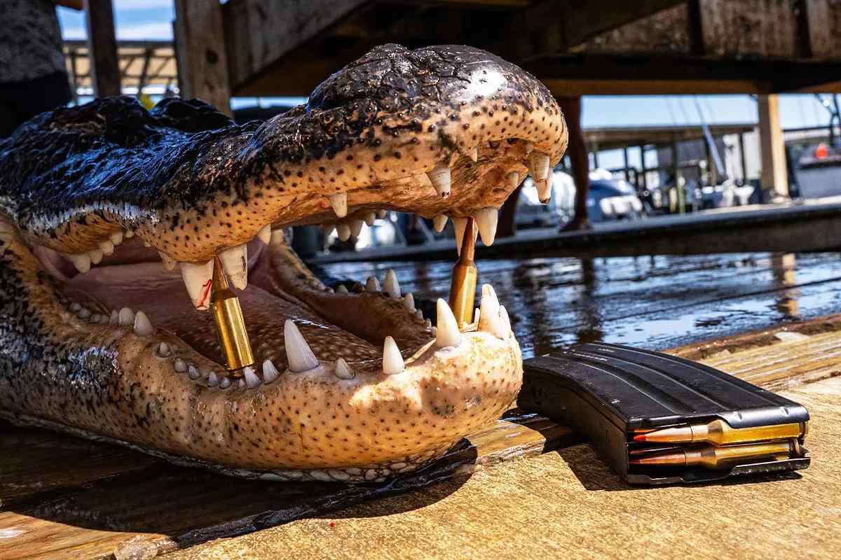 gaad-22-gator-hunt-07