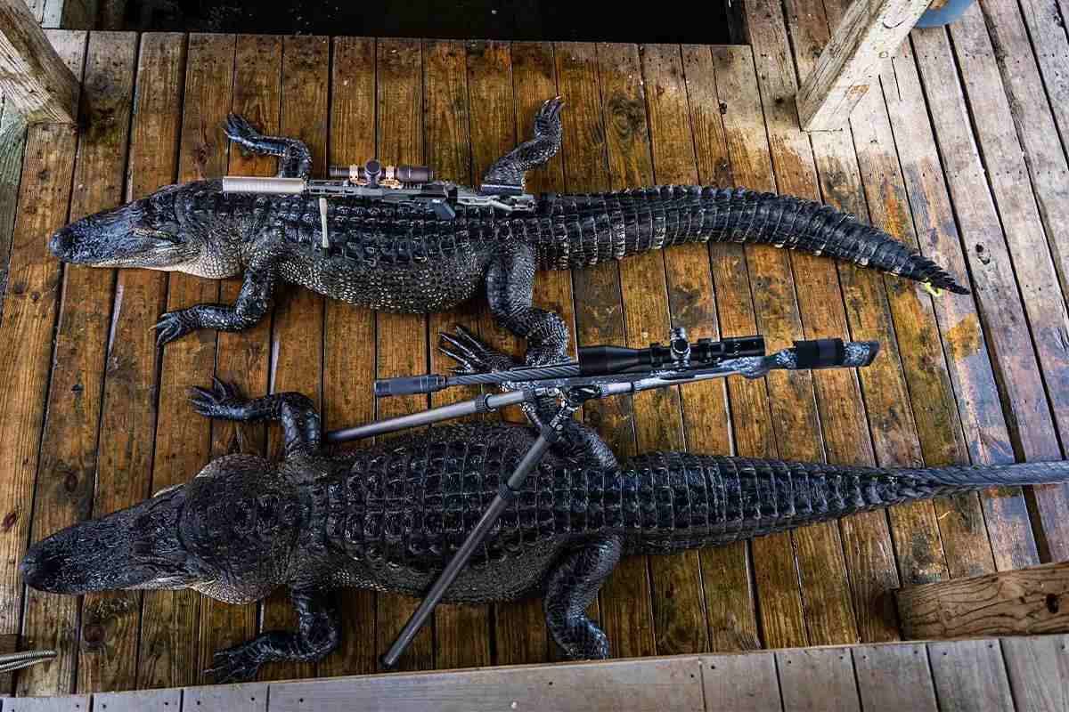 gaad-22-gator-hunt-09