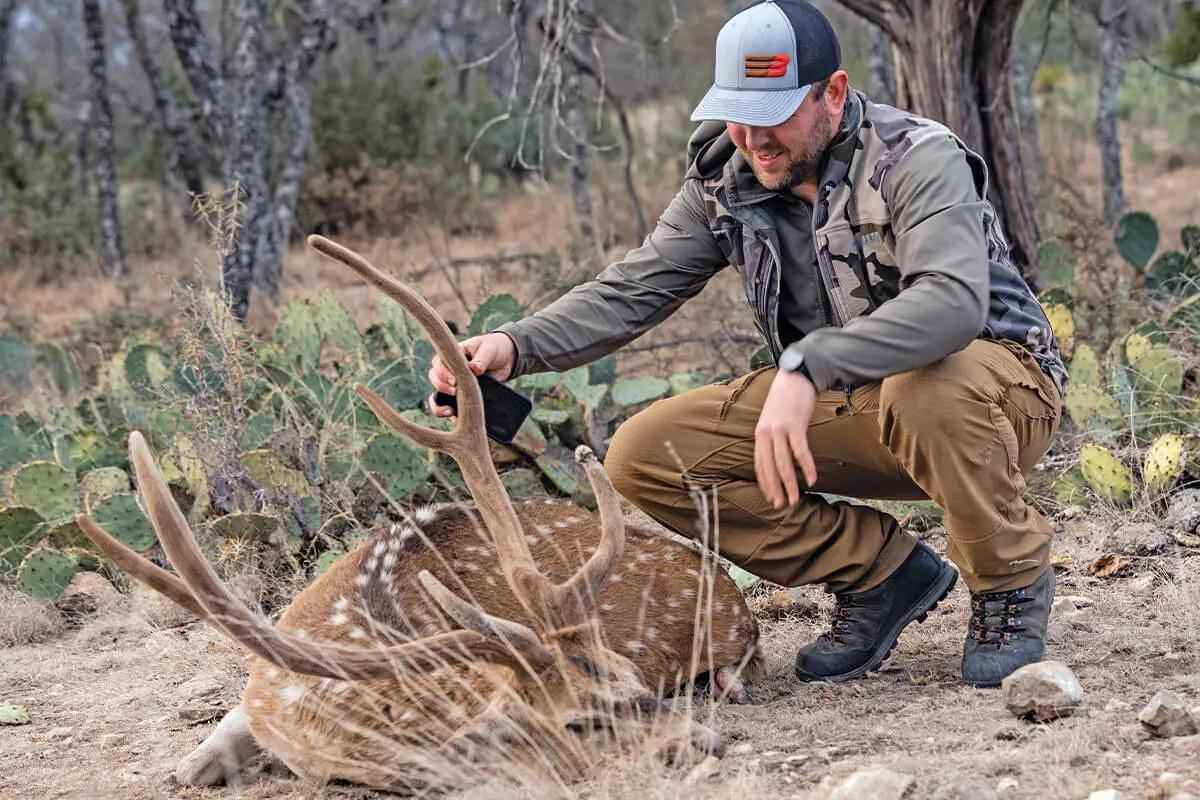 Hunting Axis Deer in Texas Has Its Perks - Petersen's Hunting
