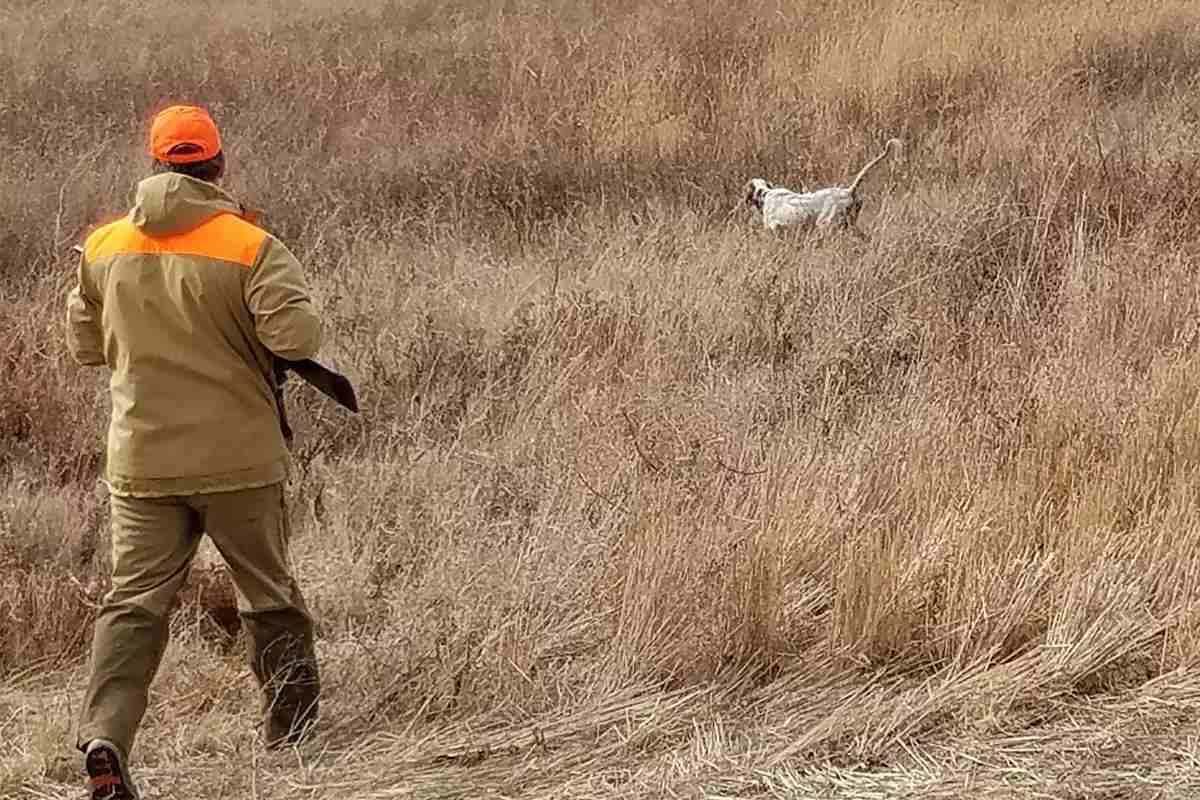 Hunting Nebraska: The Secret Upland State