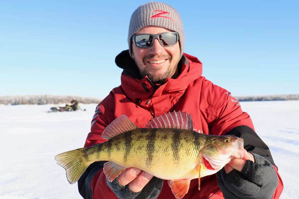Ice Fishing For Prime Time Perch 