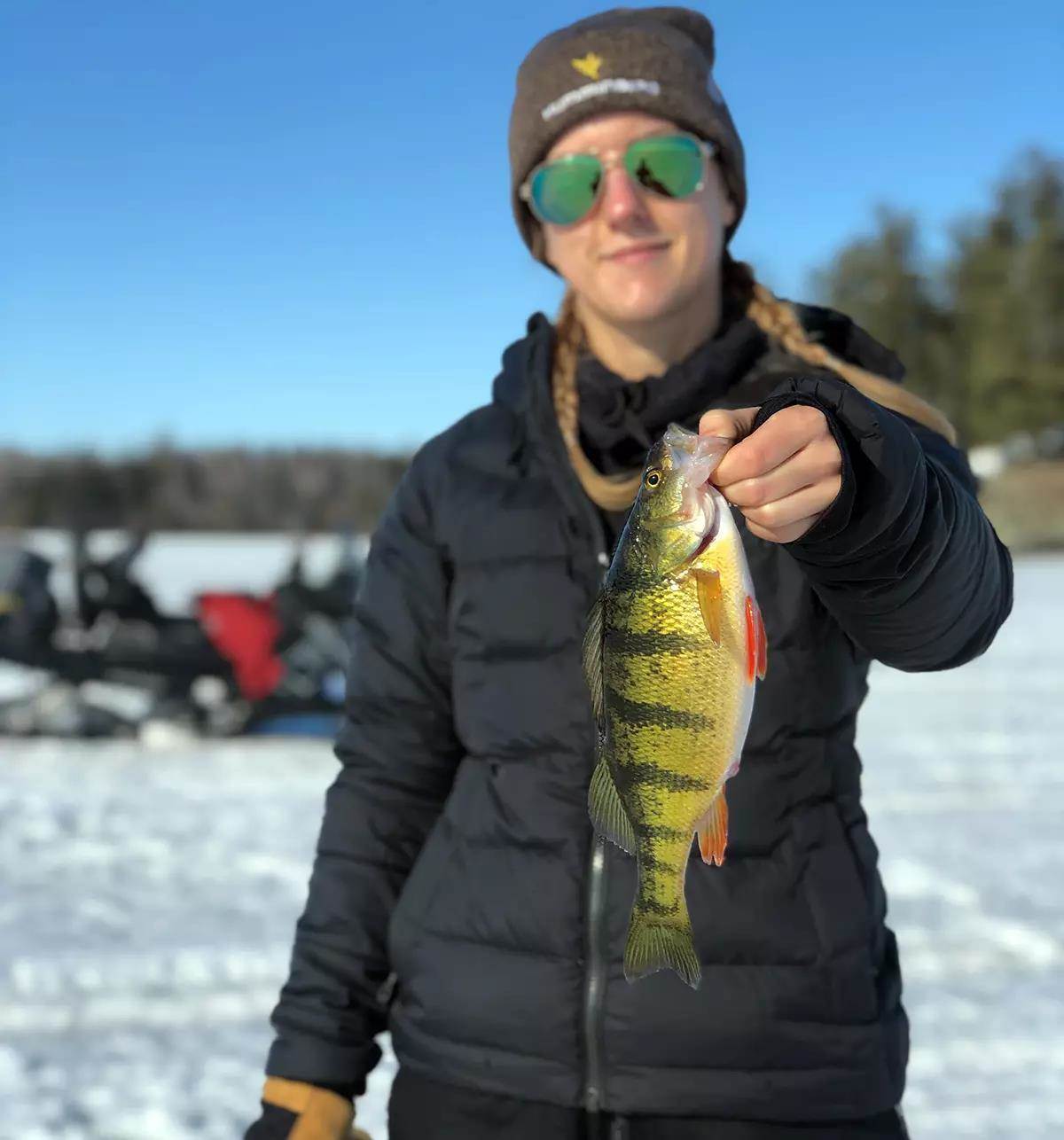 A woman standing on the ice holding a large yellow perch.