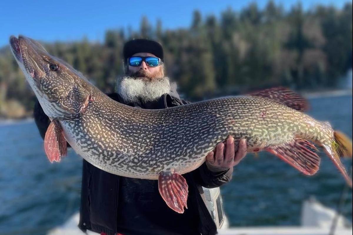 Huge Catch Breaks Idaho Northern Pike Record