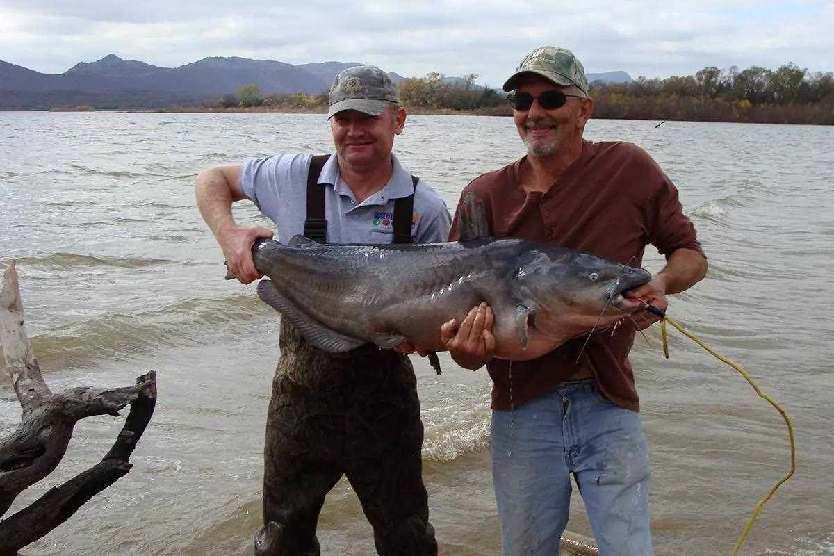 men holding giant blue catfish