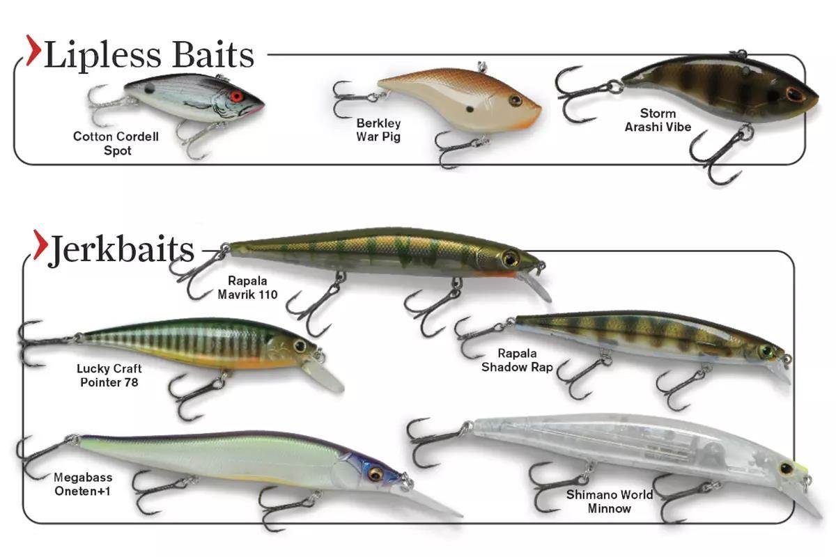 boundary waters smallmouth lures fishing How to Catch More Smallmouth Bass with Cranks and Jerks