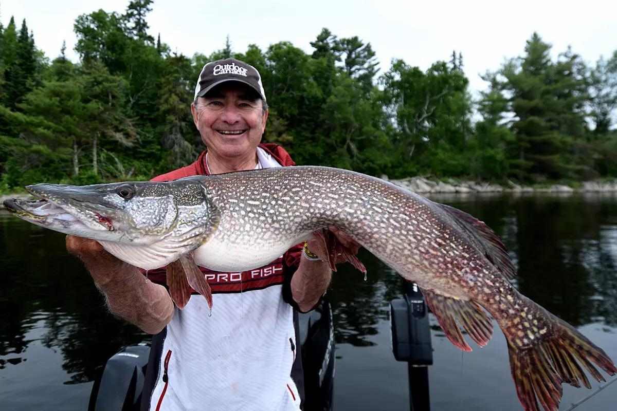 photo of a man holding a big northern pike