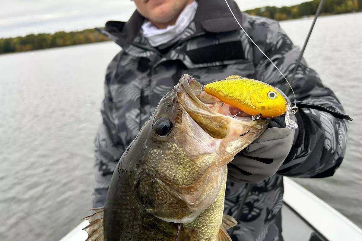 photo of Strike King Hybrid Hunter in mouth of a bass
