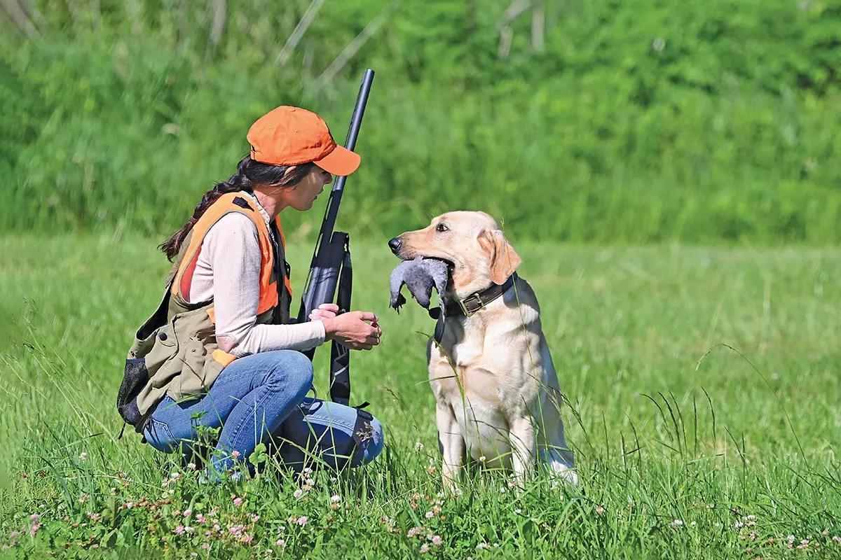 Introduce Your Pup To Gunfire The Right Way