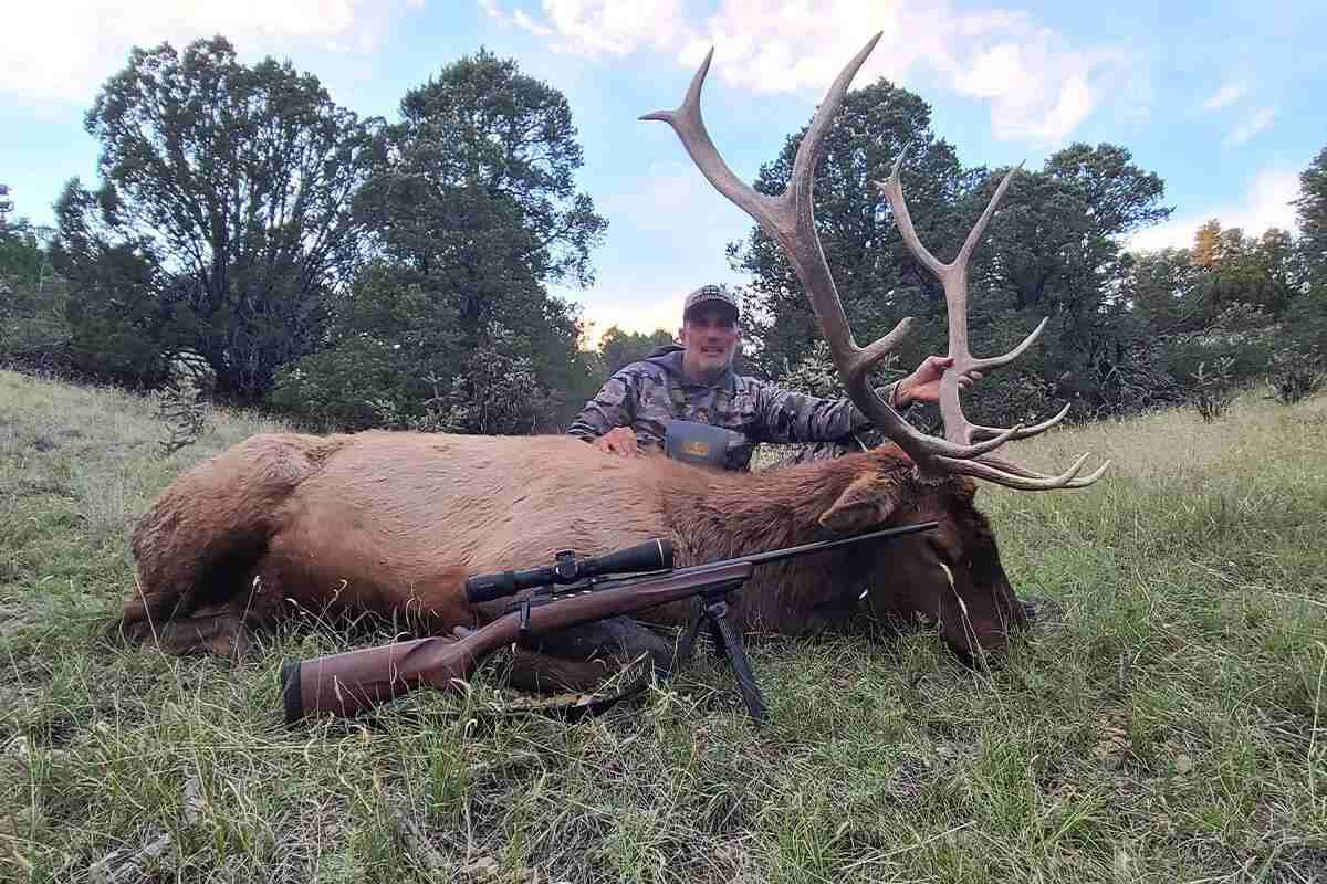 hunter with bull elk