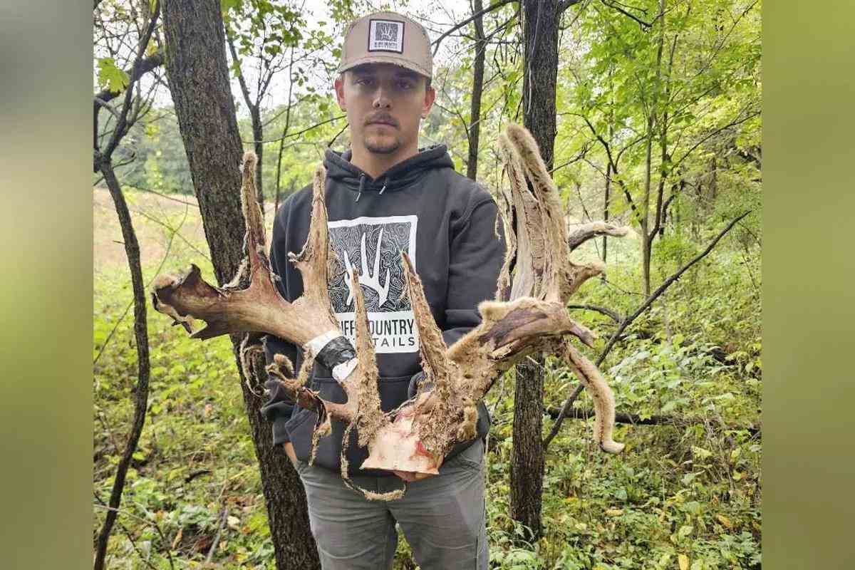 Hunter with velvet buck