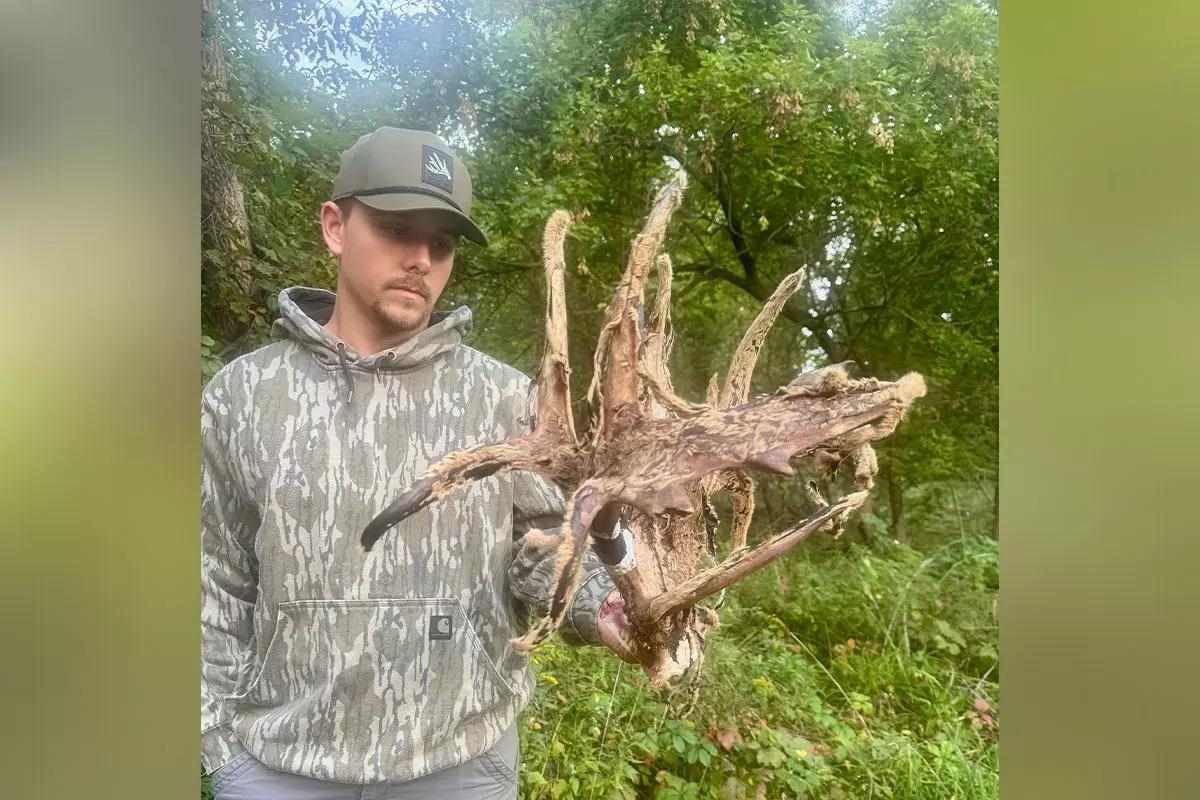 Hunter with velvet buck