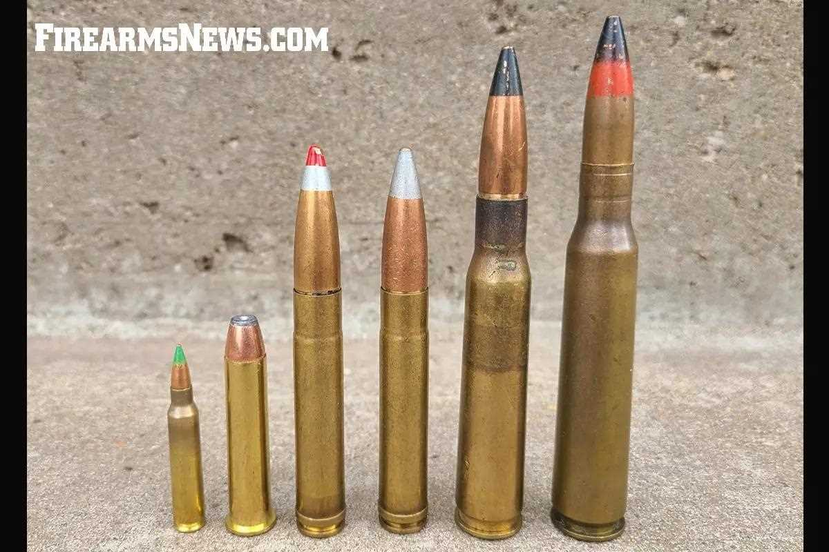 Six different size rifle cartridges in a line comparing their sizes.