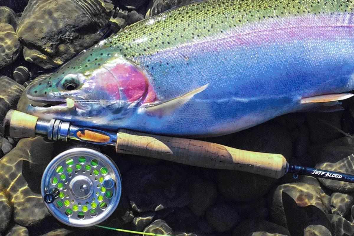 Fly Rods Optimized for Great Lakes Steelhead