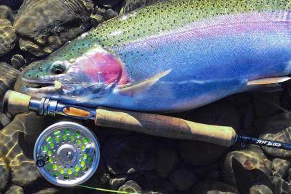 Fly Fishing Rods & Reels - Fly Fisherman